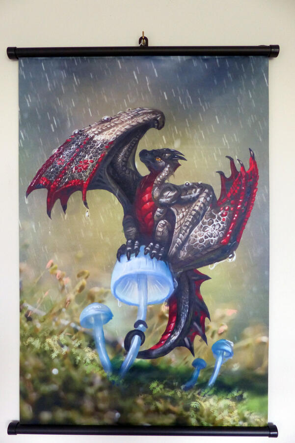 Dragonshroom